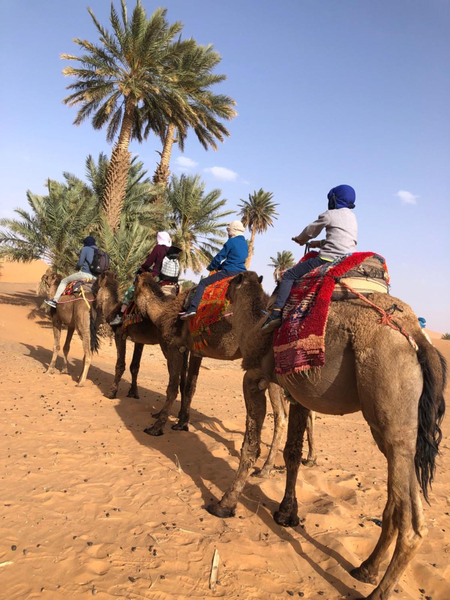 Bivouac Le Petit Prince Merzouga Exteriér fotografie